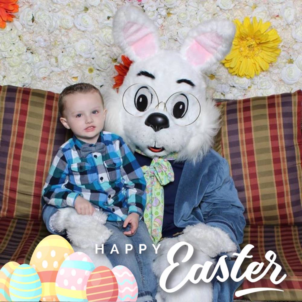 Meet your Posher, Donna